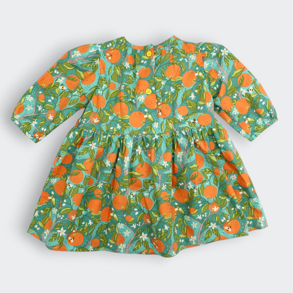 Cotton Orange Grove Back